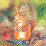 Eichhörnchen