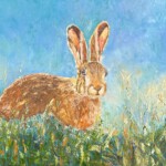 Hase