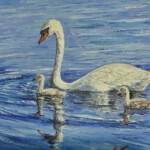Schwanfamilie