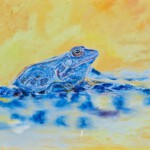 Moorfrosch