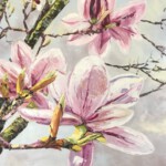 Magnolien