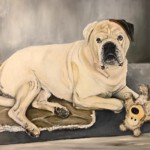 weißer Hund